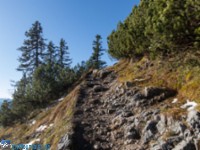Weg zur Gruttenhütte