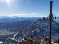 Treffauer hinter dem Gipfelkreuz