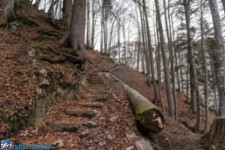 Weg zum Stripsenjochhaus