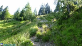 Auf dem Weg zur Kaindlhütte