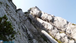 Wildauersteig - garnicht so steil