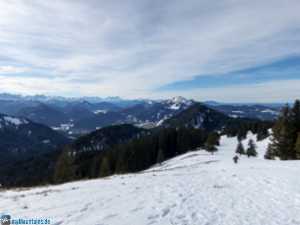 Waldfreier Bereich, bald am Gipfel des Fockensteins angekommen