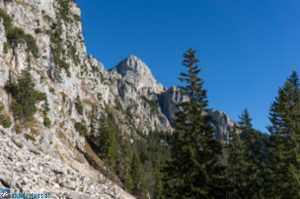 Rückblick zum Säuling