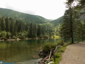 Soinsee