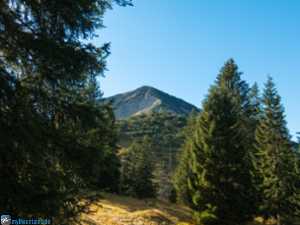 Halserspitz im Aufstieg